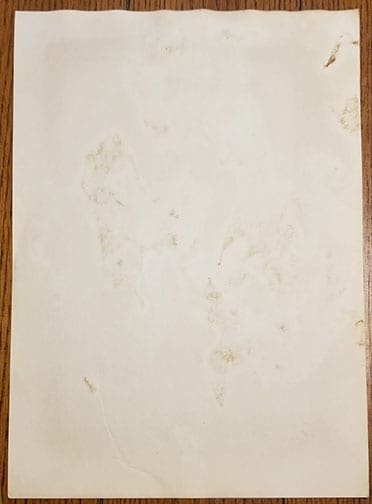 SS VT Urkunde 0621 Pi 2