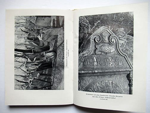 Golem 0222 Sta 4