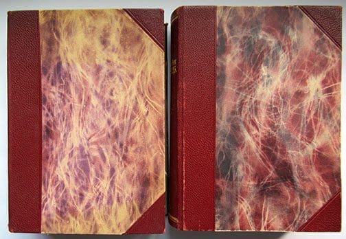 2vol Buch NSDAP 1122 Sta 2