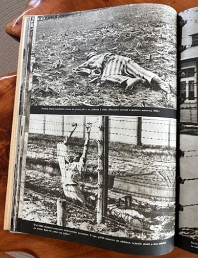 Mauthausen 0426 LF 11