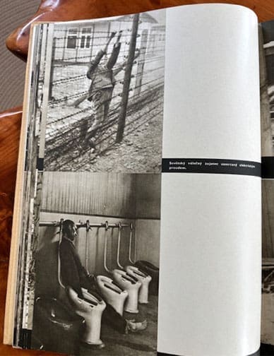 Mauthausen 0426 LF 13