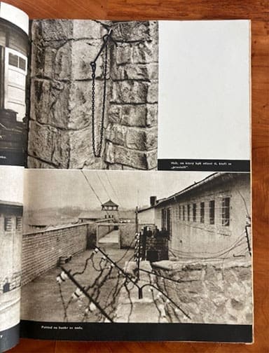 Mauthausen 0426 LF 6