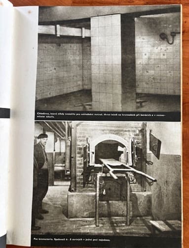 Mauthausen 0426 LF 7