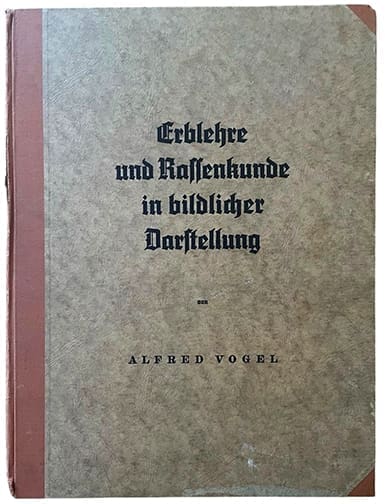 Erblehre Vogel 0526 1