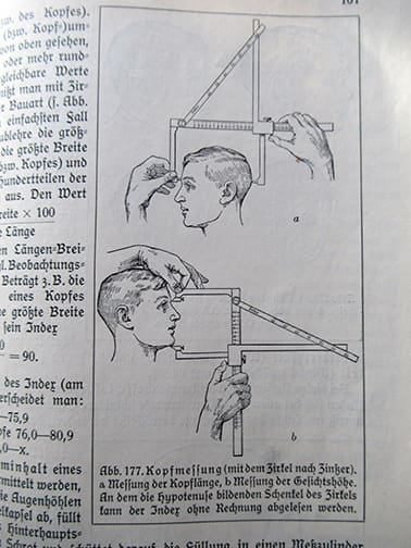 Der Mensch 1026 10