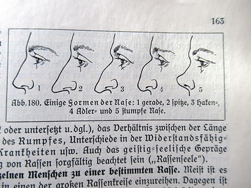Der Mensch 1026 11